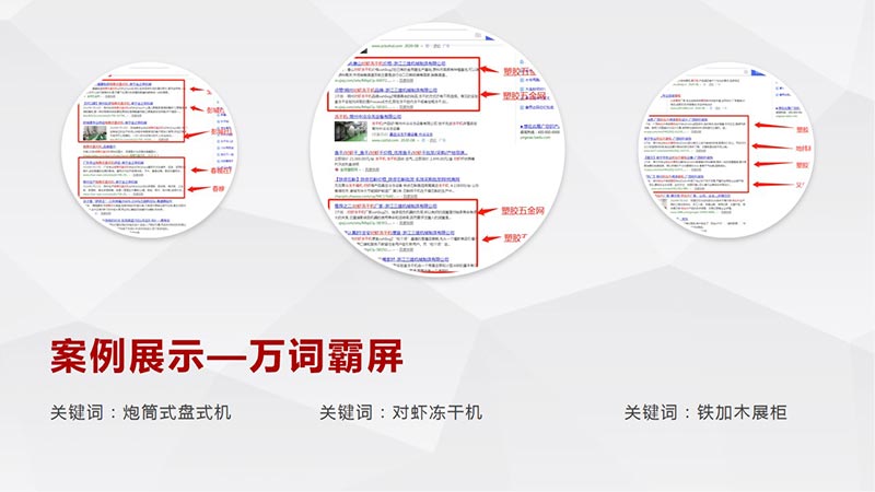 万词霸屏推广，关键词霸屏，上万关键词快速上首页